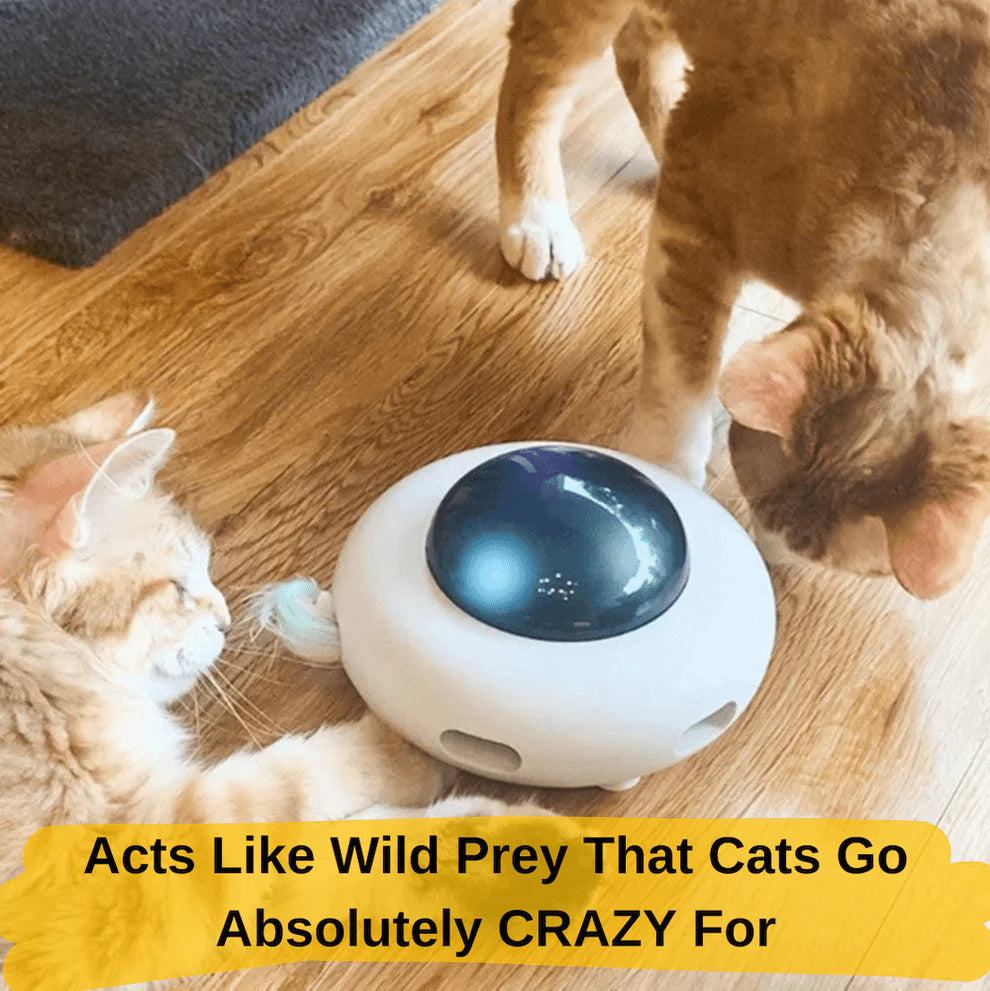 Smart Cat Toy UFO Teaser